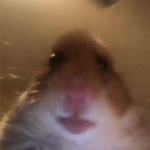 Meet your Posher, Daniela